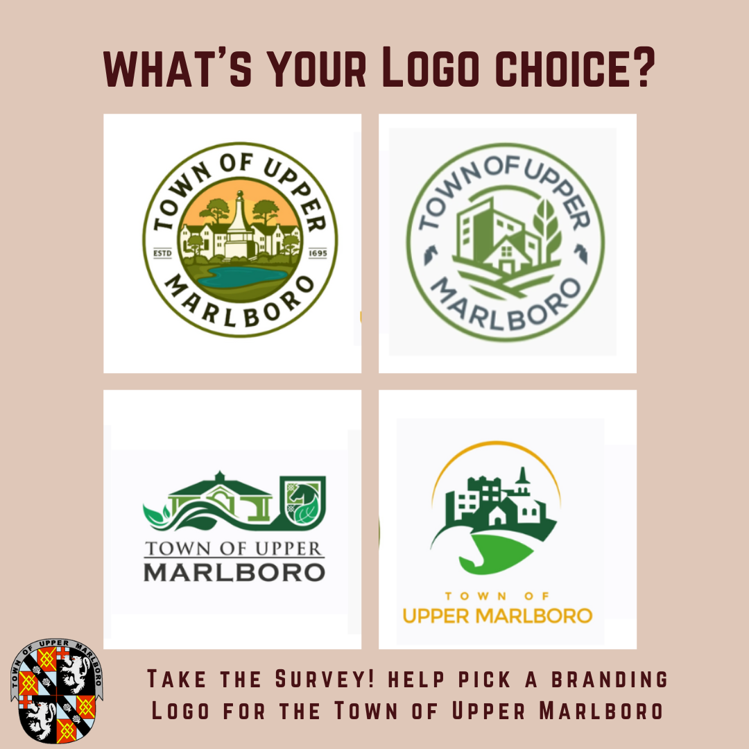 logo choice